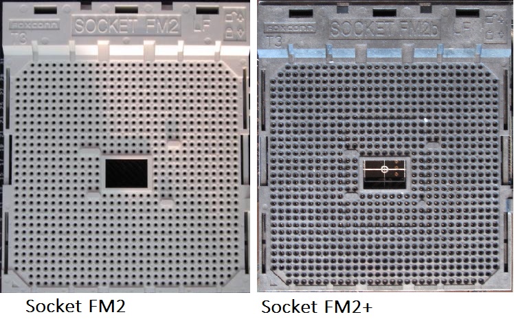difference between fm2 and fm2+